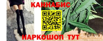 spice Кингисепп
