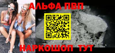 spice Кингисепп
