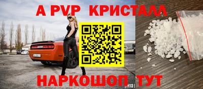 spice Кингисепп