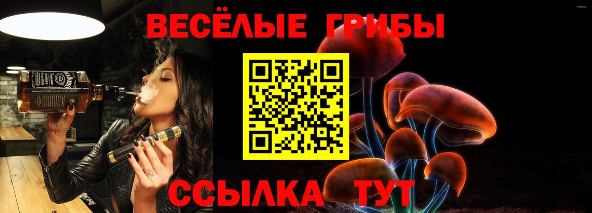 Псилоцибиновые грибы мицелий  Псилоцибиновые грибы Psilocybe  Вход с VPN  Заволжье 